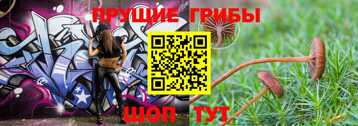 Псилоцибиновые грибы MAGIC MUSHROOMS  Вход с VPN  Кудымкар 