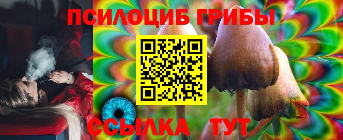 Псилоцибиновые грибы Psilocybine cubensis Кудымкар